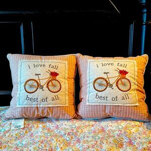 2 pack EAI home high quality decorative pillows 20 In x 20 in